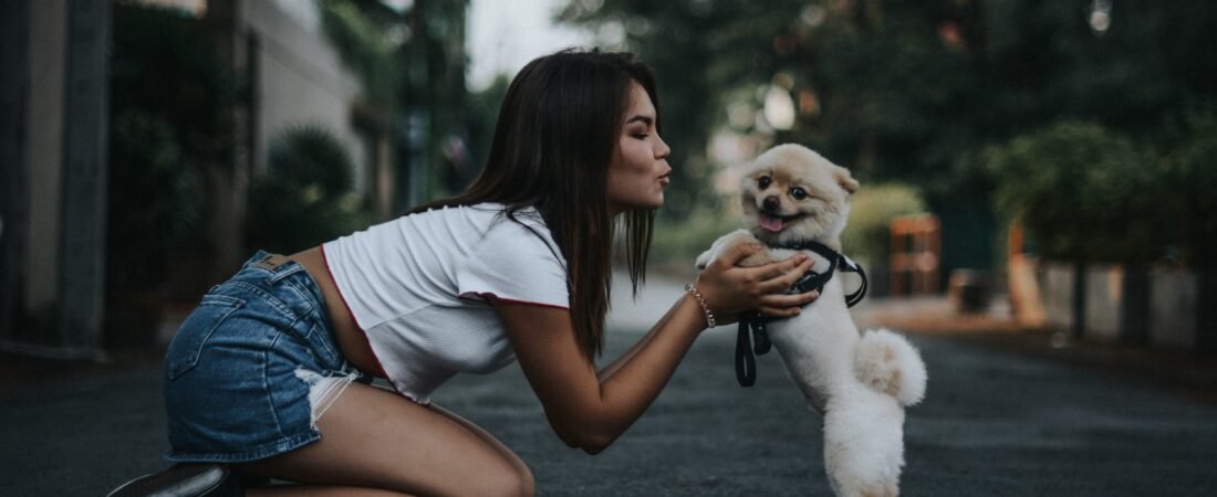 Essential Tips and tricks:  before bringing home your new puppy